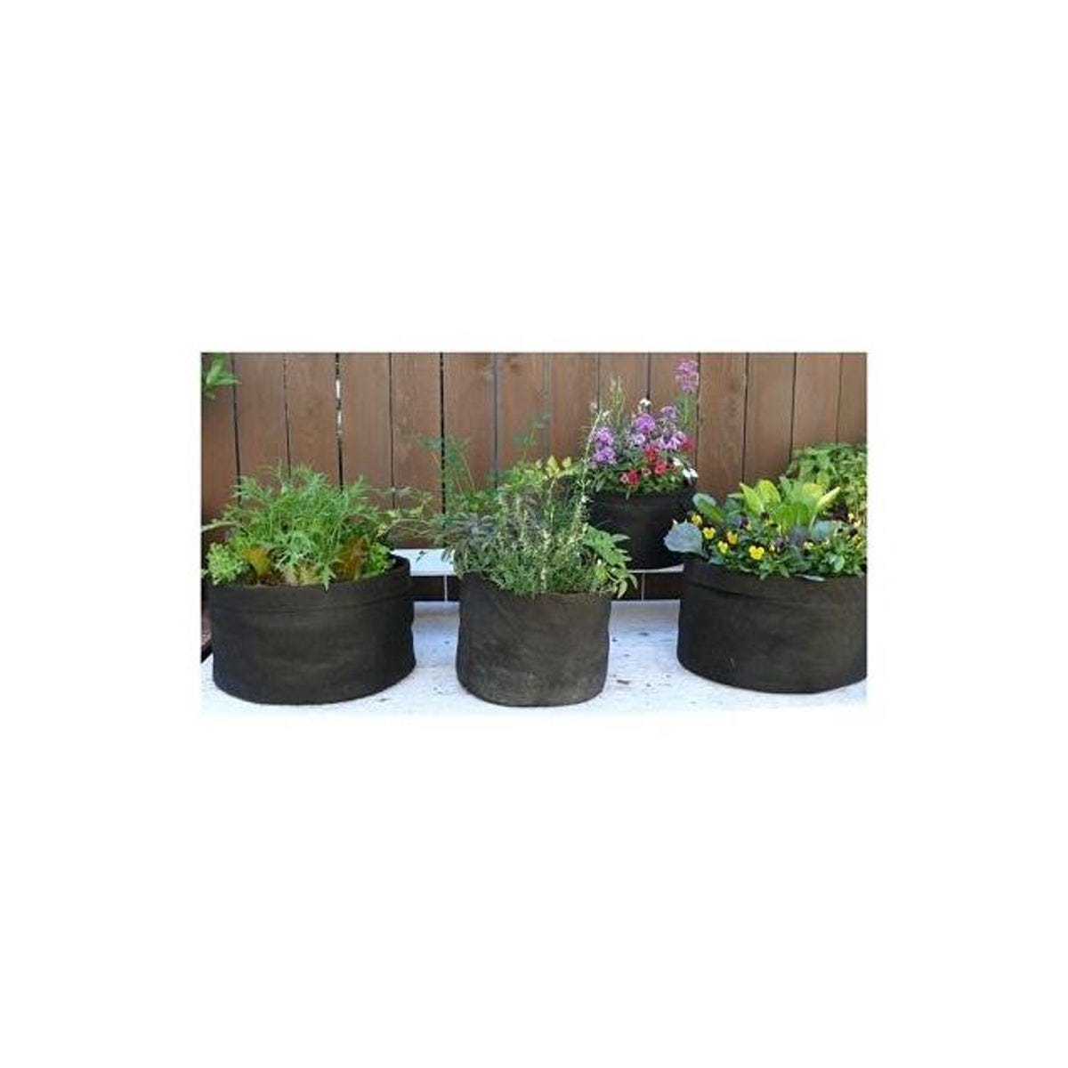 Smart Pot 10 Gal. Black Fabric Pepper & Vegetable Container Garden Planter - photo 4