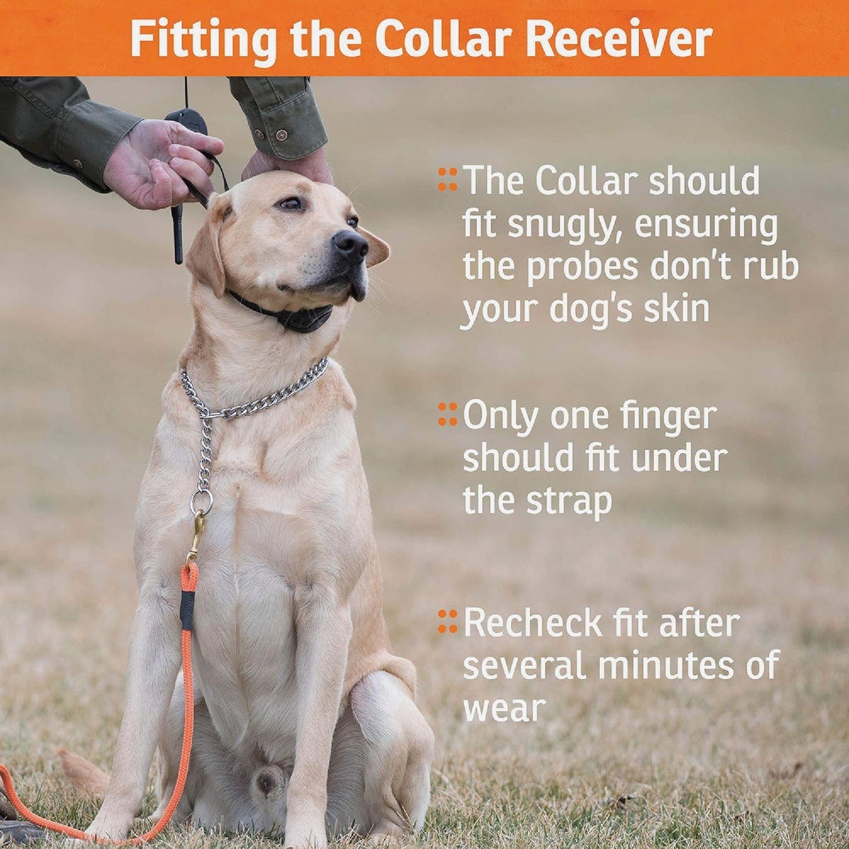SportDOG Brand YardTrainer 100S - photo 3 SportDOG Brand YardTrainer 100S - photo 3