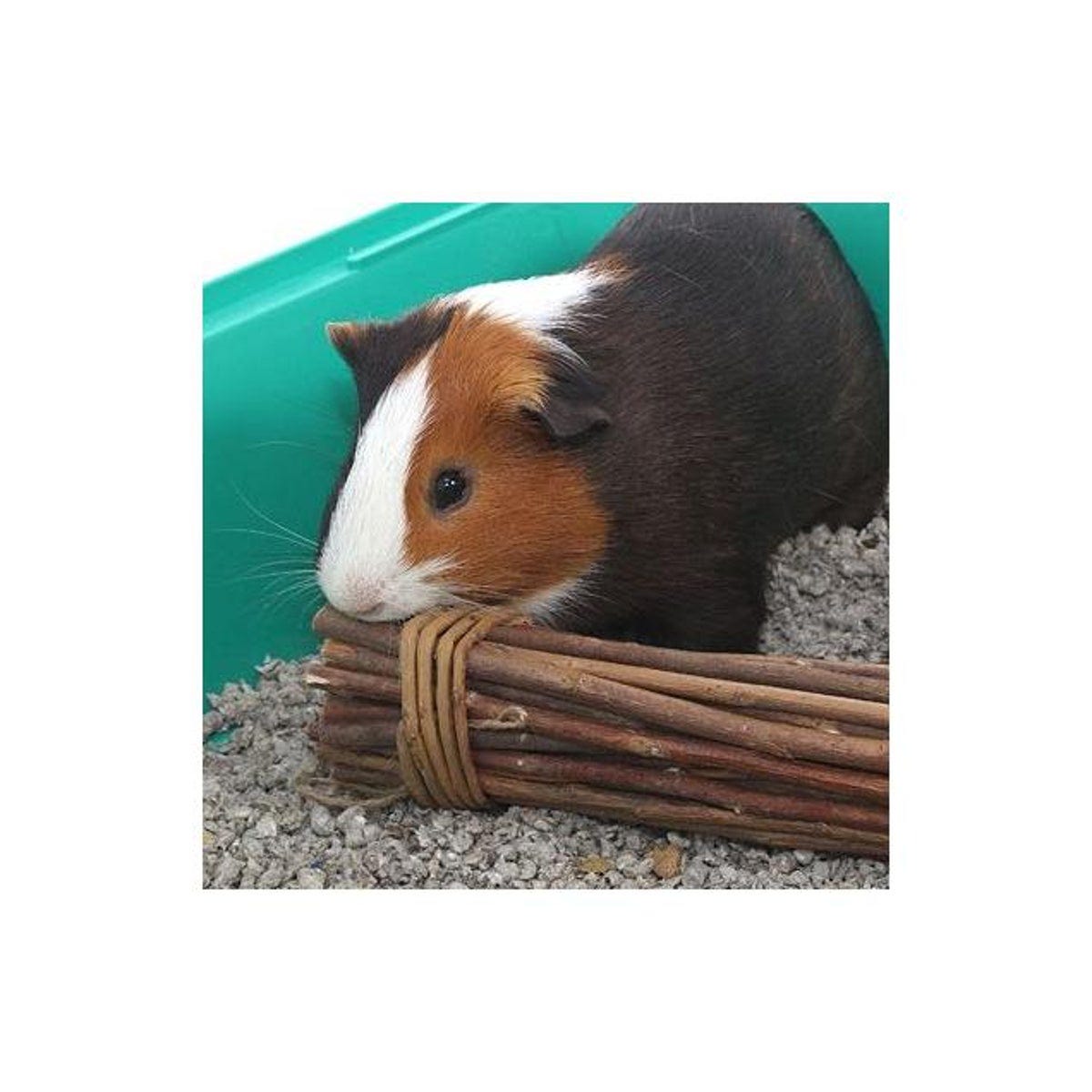 Ware Mega Munch Sticks Small Pet Chew Treat - photo 3