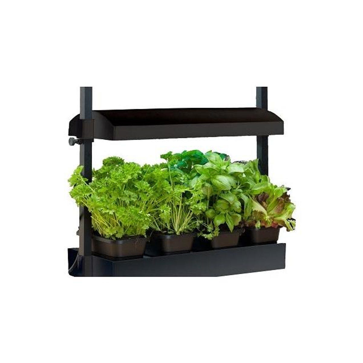 SunBlaster Full Spectrum Micro Grow Light Garden