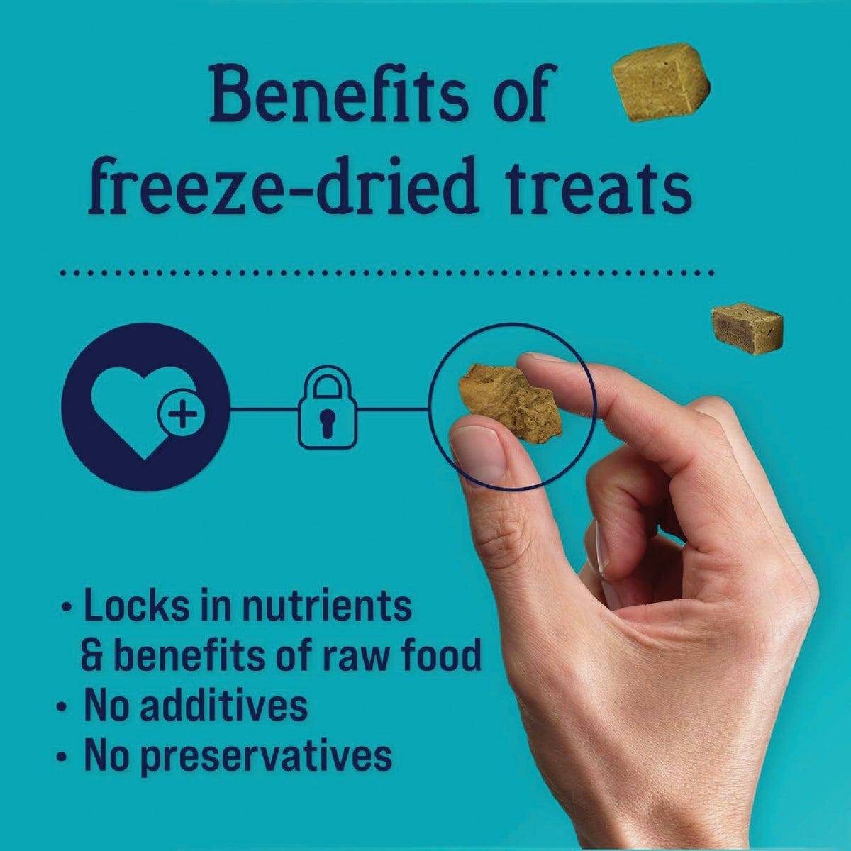 Stewart 16 Oz. Freeze-Dried Chicken Liver Dog Treat - photo 3