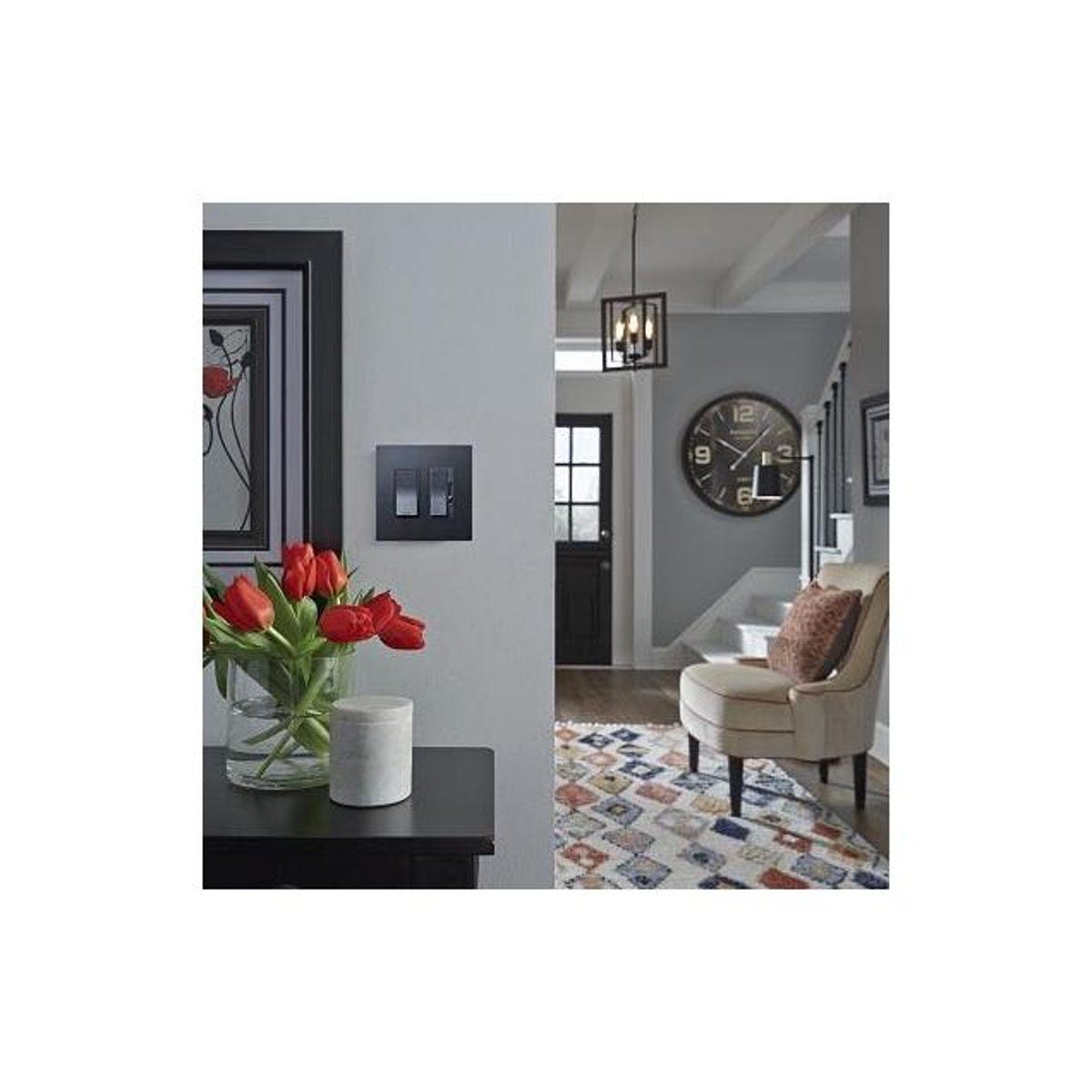 Radiant Graphite 2-Gang Screwless Wall Plate - photo 2