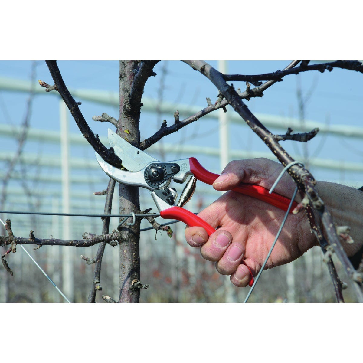 Felco 2 8.5 In. Forged Bypass Pruner - photo 2 Felco 2 8.5 In. Forged Bypass Pruner - photo 2