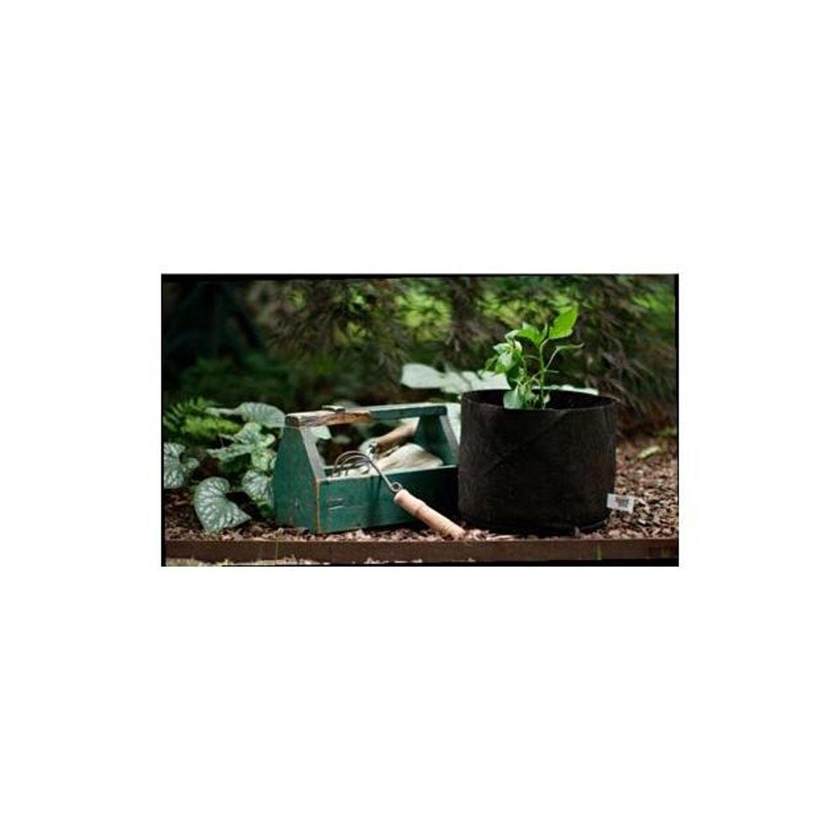 Smart Pot 2 Gal. Black Fabric Multi-Purpose Container Grower Planter - photo 4 Smart Pot 2 Gal. Black Fabric Multi-Purpose Container Grower Planter - photo 4