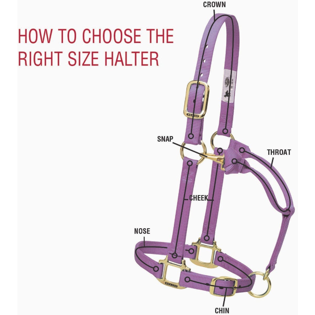 Weaver Equine 3/4 In. Small Black Adjustable Halter - photo 5 Weaver Equine 3/4 In. Small Black Adjustable Halter - photo 5