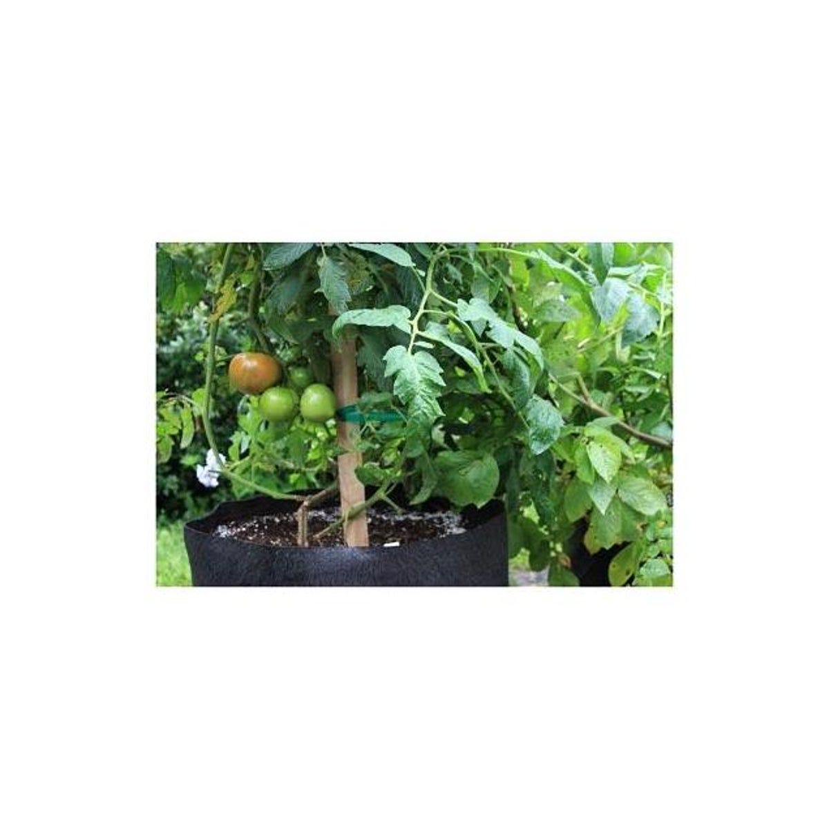 Smart Pot 20 Gal. Black Fabric Tomato & Melon Container Garden Planter - photo 2