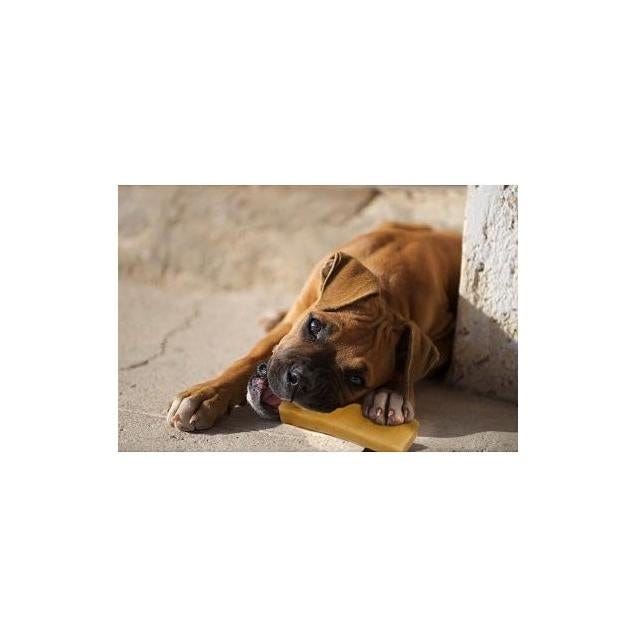 Fieldcrest Farms 2-Pack 4.6 Oz. Yak Cheese Dog Chew Treat - photo 2