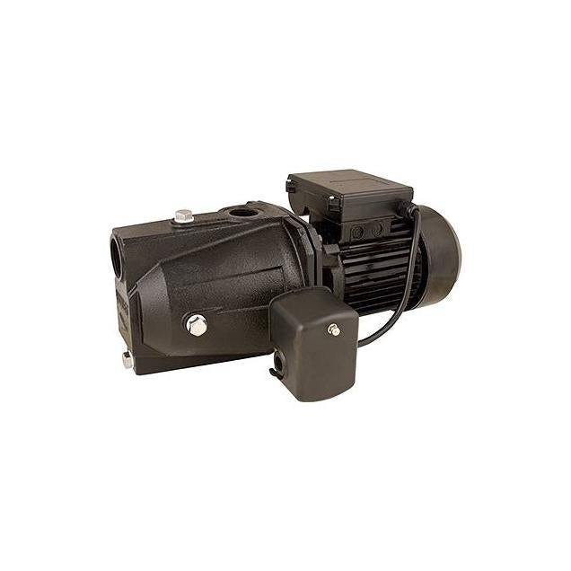 Flint & Walling .075 HP Economy Cast Iron Shallow Water Well Jet Pump Flint & Walling .075 HP Economy Cast Iron Shallow Water Well Jet Pump