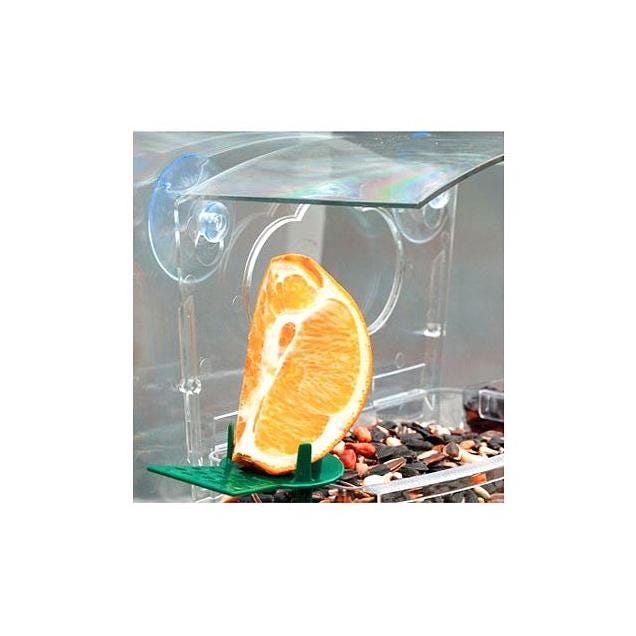Audubon Plastic 1 Lb. Mixed Treat Window Feeder - photo 2 Audubon Plastic 1 Lb. Mixed Treat Window Feeder - photo 2