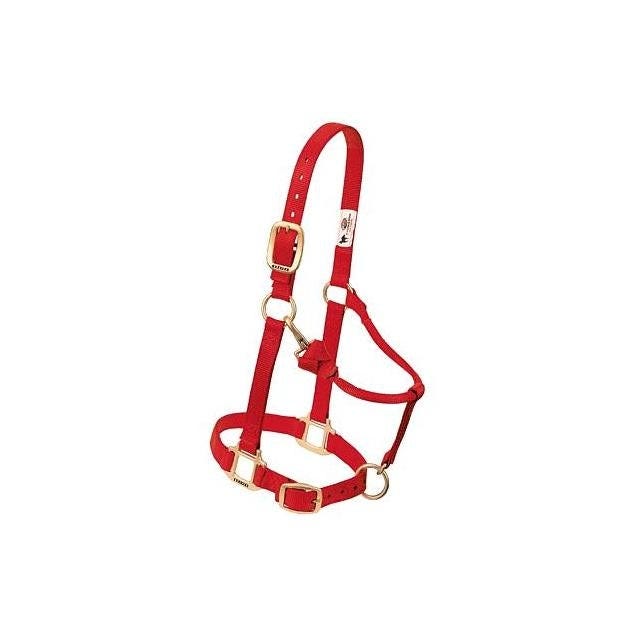 Weaver Leather 1 In. Red Nylon Snap Halter, Small/Weanling Horse