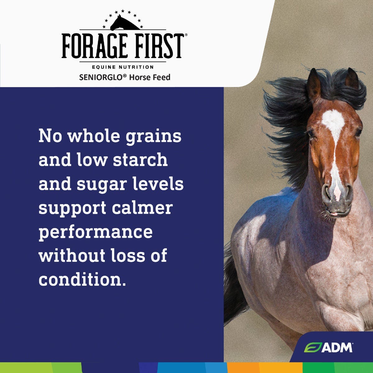 ADM SeniorGlo 50 Lb. Senior Horse Feed - photo 7