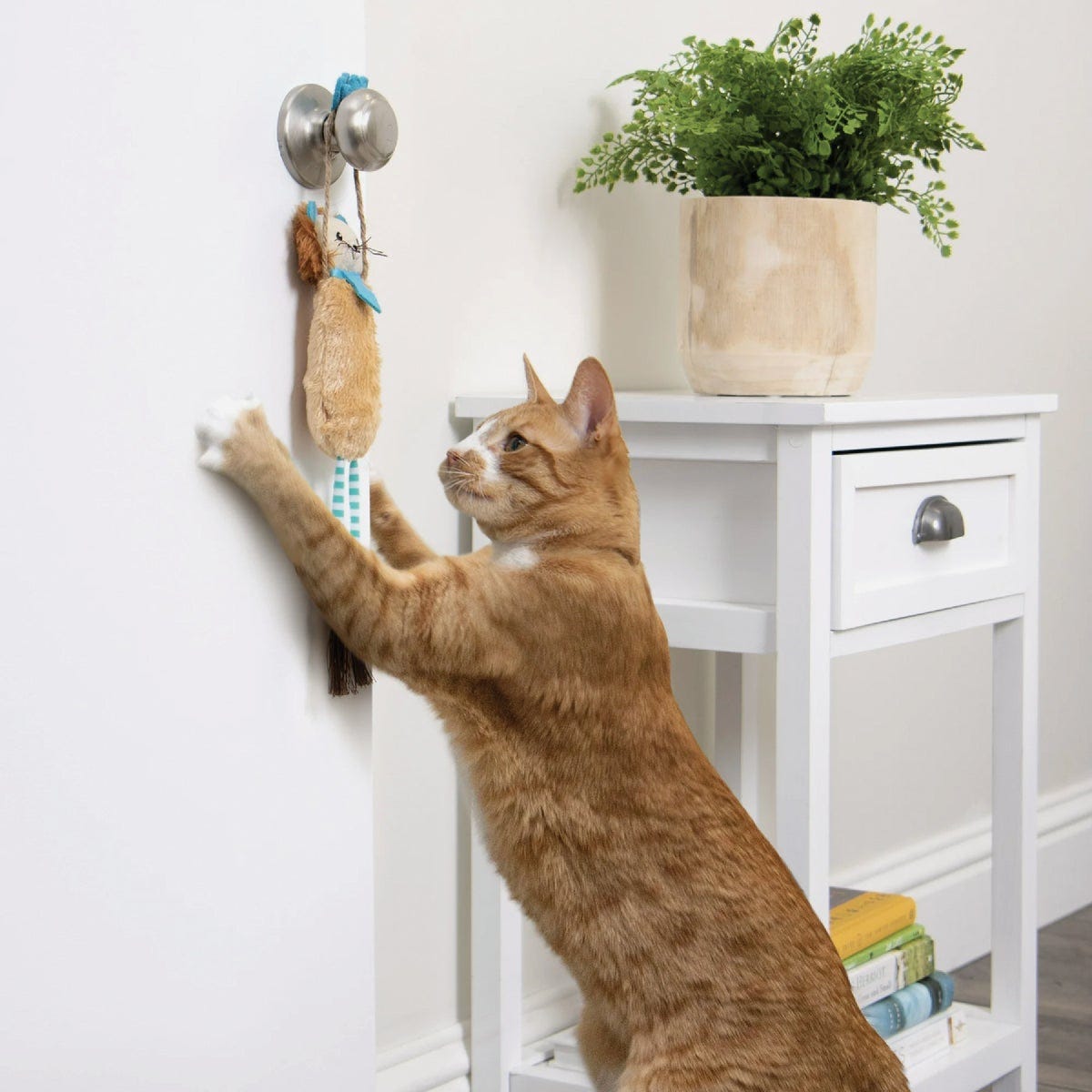 SmartyKat Loopy Lion Door Hanging Breakaway Kicker Catnip Cat Toy - photo 5 SmartyKat Loopy Lion Door Hanging Breakaway Kicker Catnip Cat Toy - photo 5