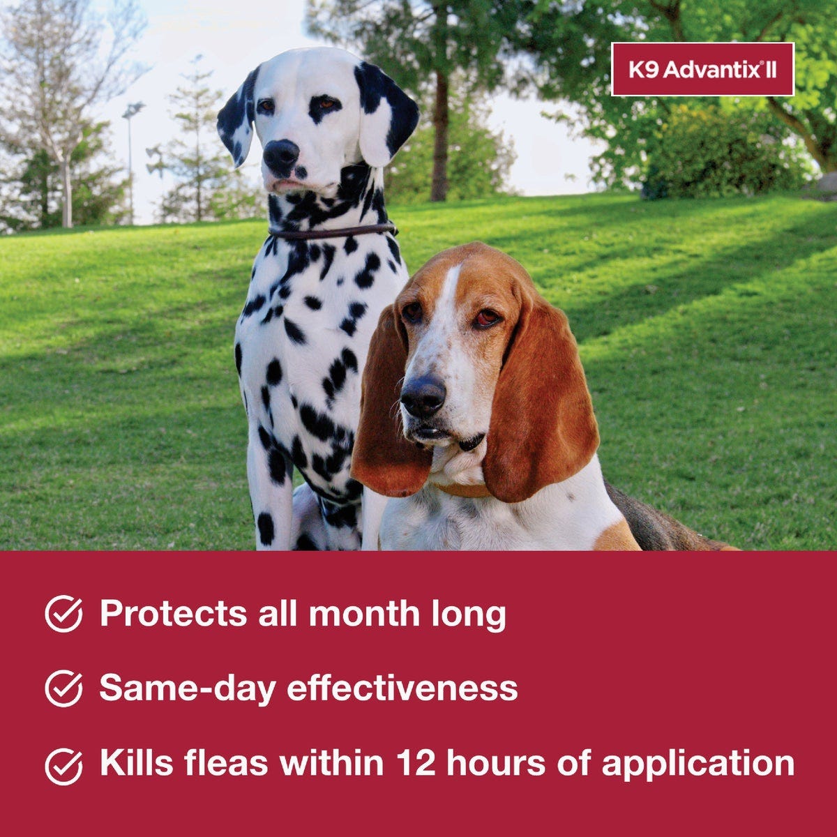 K9 Advantix II Medium Dog Teal 1-Month Flea Treatment (2-Pack) - photo 4 K9 Advantix II Medium Dog Teal 1-Month Flea Treatment (2-Pack) - photo 4