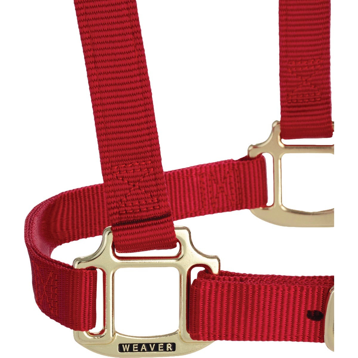 Weaver Equine 3/4 In. Small Red Adjustable Halter - photo 3 Weaver Equine 3/4 In. Small Red Adjustable Halter - photo 3