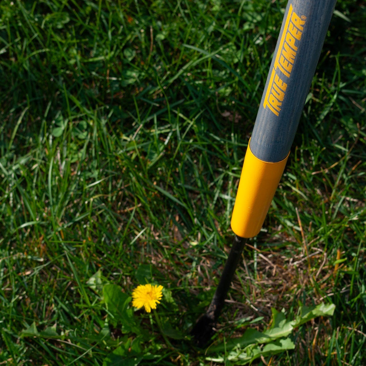 True Temper 36 In. Wood Handle Dandelion Weeder - photo 5 True Temper 36 In. Wood Handle Dandelion Weeder - photo 5
