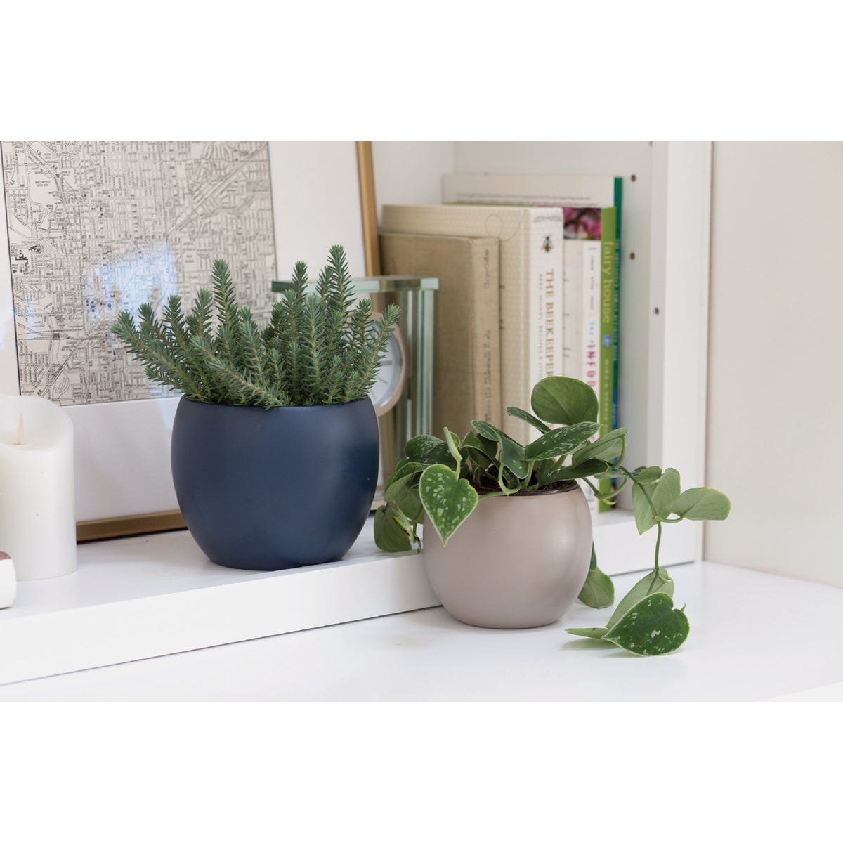 Syndicate Home and Garden 6.02 In. x 4.75 In. Midnight Blue Ceramic Phoenix Planter - photo 2 Syndicate Home and Garden 6.02 In. x 4.75 In. Midnight Blue Ceramic Phoenix Planter - photo 2