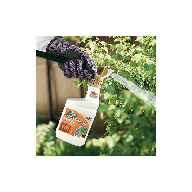 Bonide Captain Jack's 16 Oz. Ready To Use Trigger Spray Copper Fungicide - photo 3 Bonide Captain Jack's 16 Oz. Ready To Use Trigger Spray Copper Fungicide - photo 3