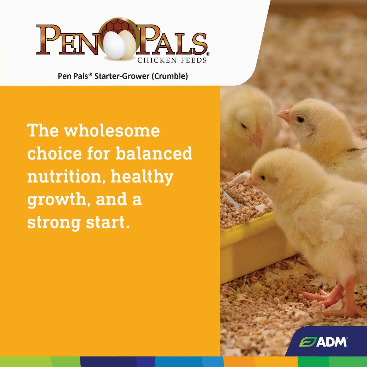 ADM Pen Pals 5 Lb. Chicken Starter/Grower Chicken Feed - photo 7