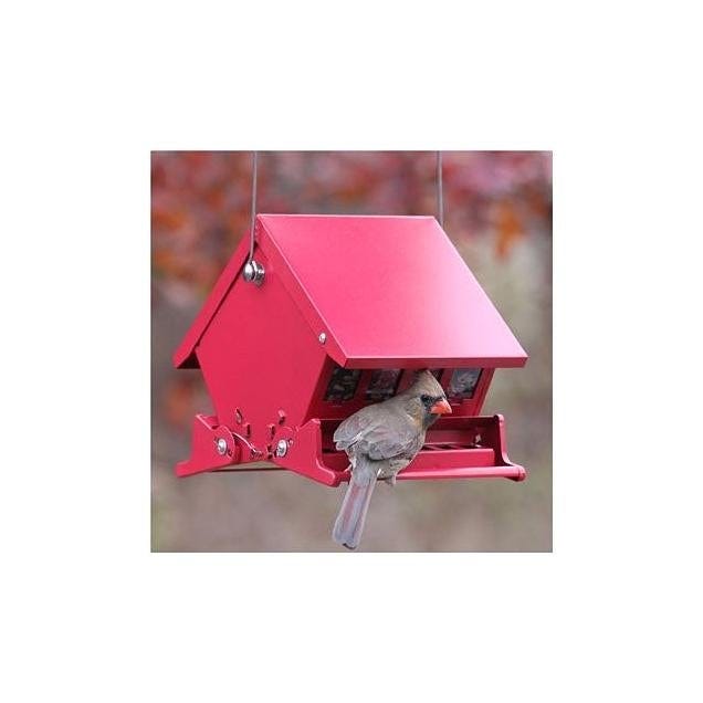 Audubon Absolute II 4 Lb. Squirrel-Proof Bird Feeder Audubon Absolute II 4 Lb. Squirrel-Proof Bird Feeder