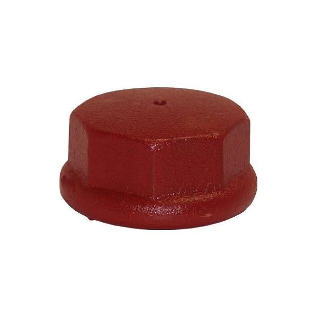 Water Source 1.25 In. Cast Iron Well Point Drive Cap | True Value Hardware
