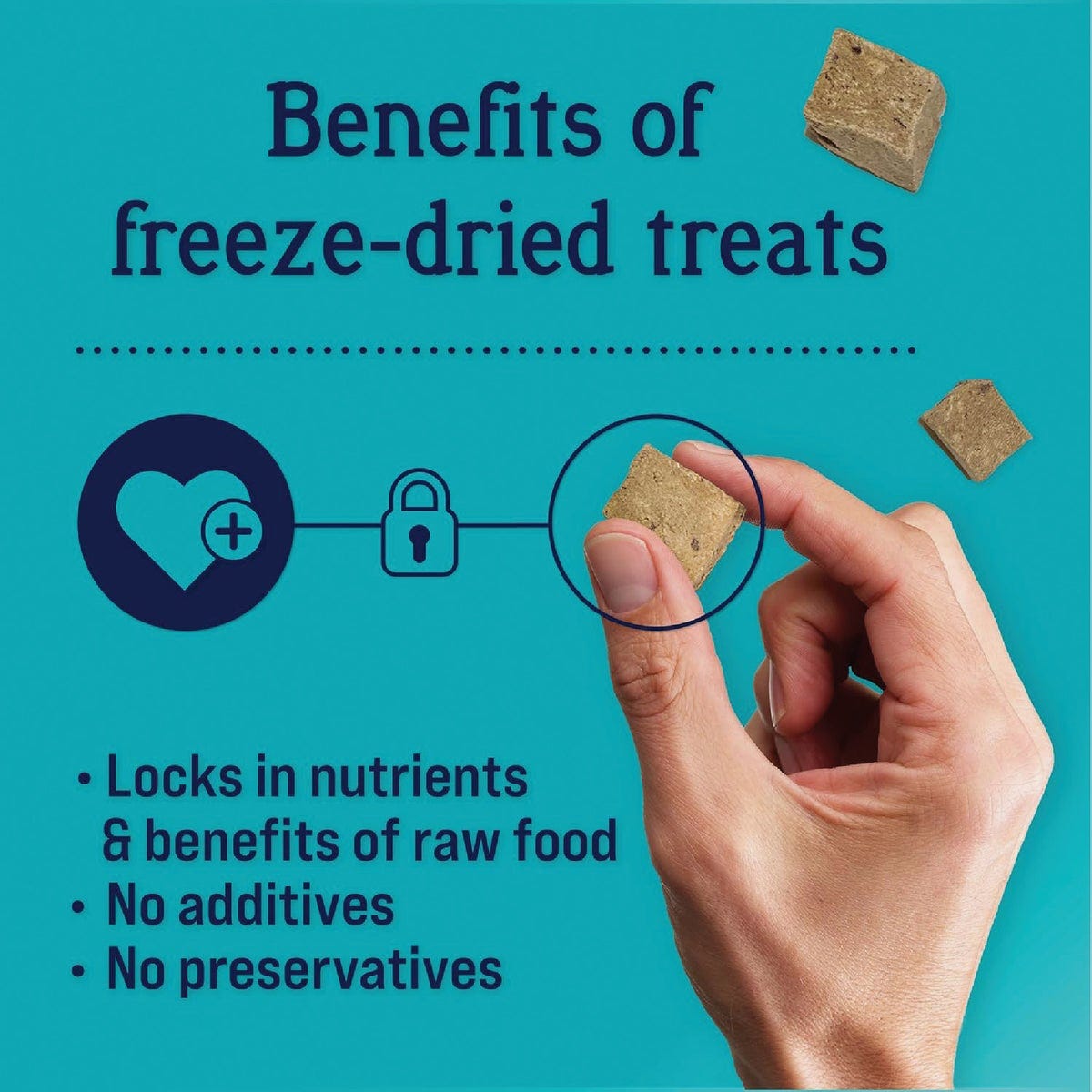 Stewart 4 Oz. Pouch Freeze-Dried Beef Liver Dog Treats - photo 3