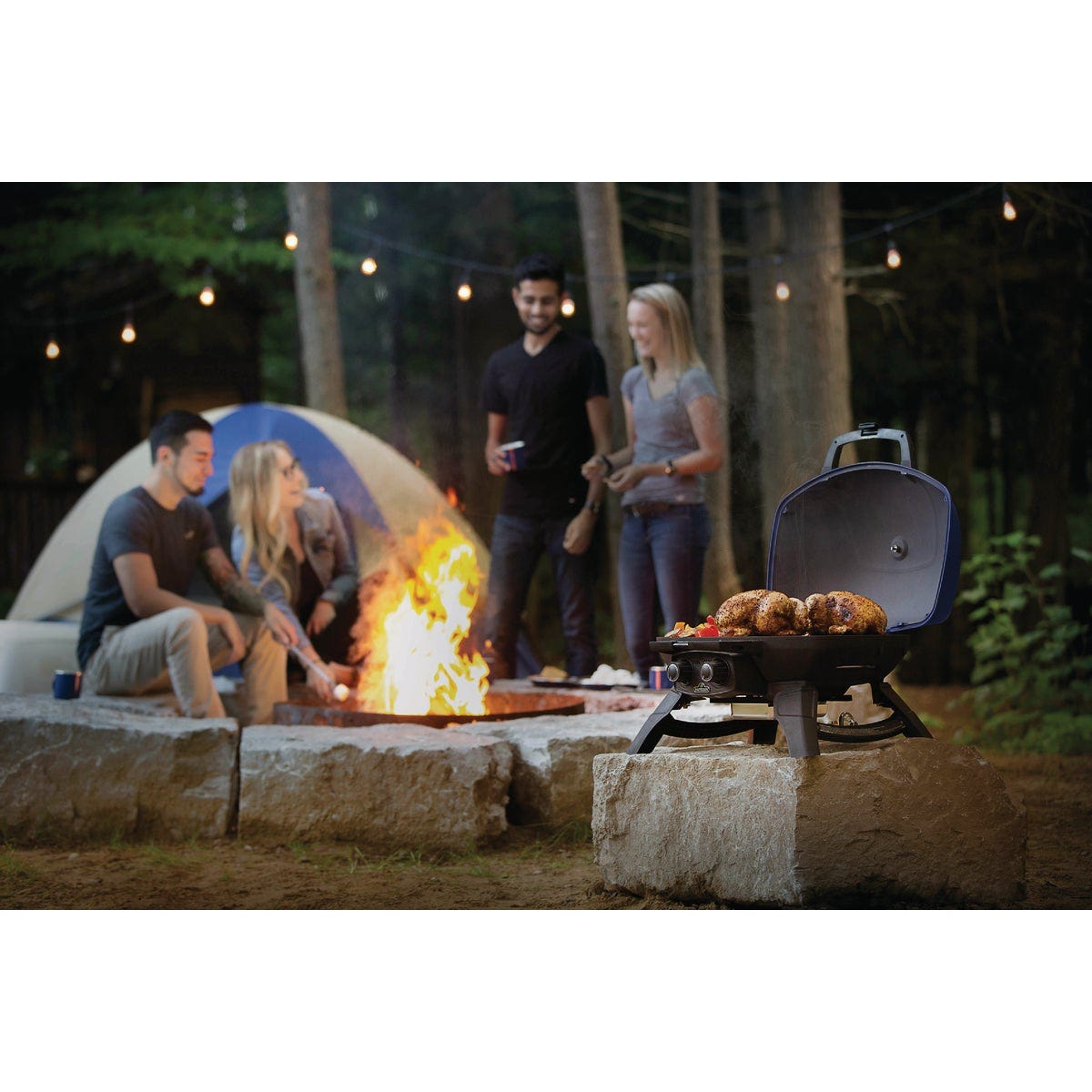 Napoleon TravelQ 285 Portable Propane Gas Grill, Blue - photo 5 Napoleon TravelQ 285 Portable Propane Gas Grill, Blue - photo 5