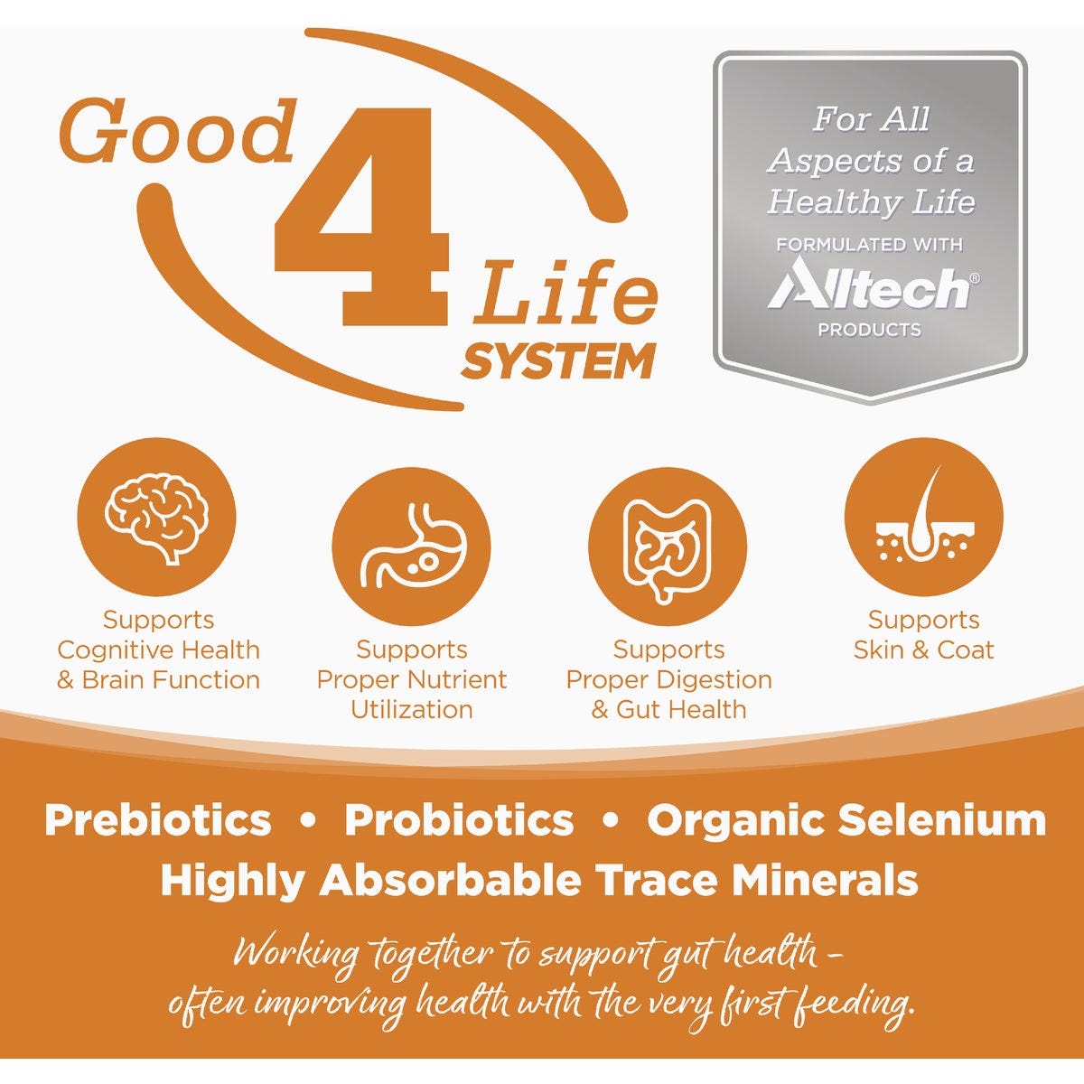 NutriSource 12.3 Oz. Lamb Recipe Grain Free Wet Dog Food - photo 2