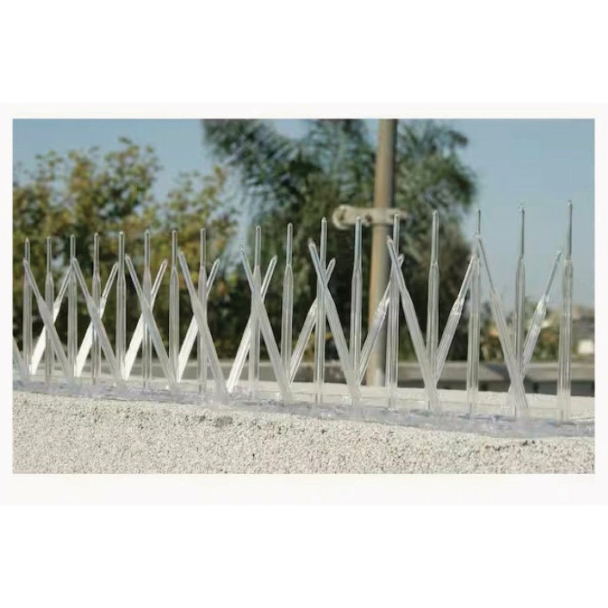 Bird-B-Gone 5 In. x 6 Ft. Plastic Bird Repelling Spikes - photo 3 Bird-B-Gone 5 In. x 6 Ft. Plastic Bird Repelling Spikes - photo 3