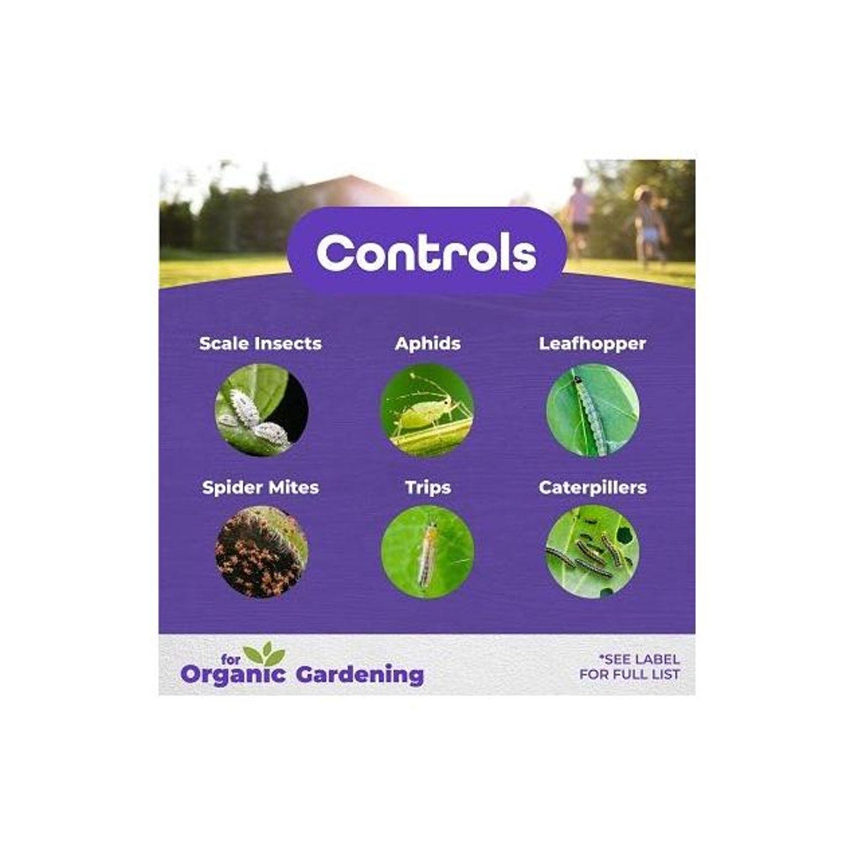 Bonide 16 Oz. Horticultural Spray Oil