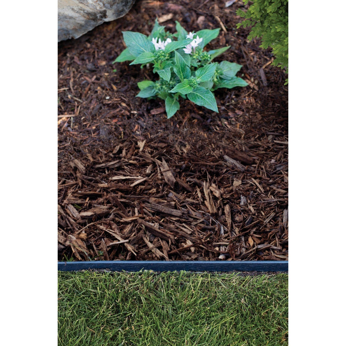 Master Mark Dig-Free 1.5 In. H. x 25 Ft. L. Black Recycled Plastic Landscape Edging - photo 4 Master Mark Dig-Free 1.5 In. H. x 25 Ft. L. Black Recycled Plastic Landscape Edging - photo 4