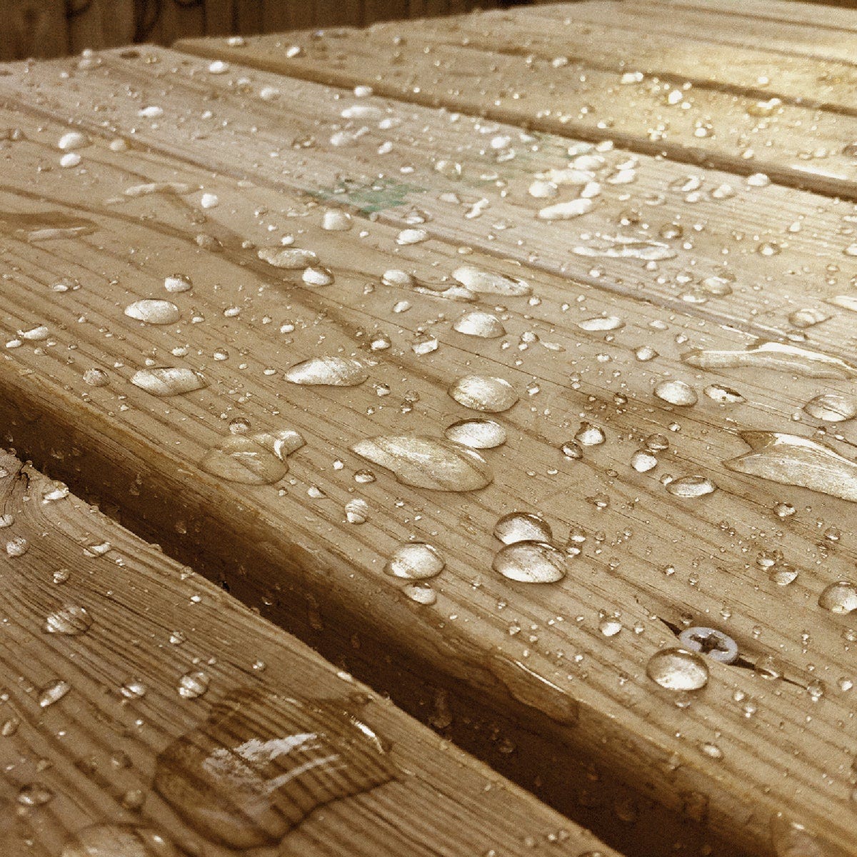 Eco Advance Exterior Wood Water Repellent Sealer, 1 Gal., Clear - photo 3 Eco Advance Exterior Wood Water Repellent Sealer, 1 Gal., Clear - photo 3