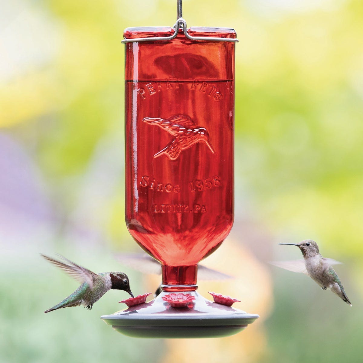 Perky-Pet 16 Oz. Red Antique Glass Bottle Hummingbird Feeder - photo 2 Perky-Pet 16 Oz. Red Antique Glass Bottle Hummingbird Feeder - photo 2