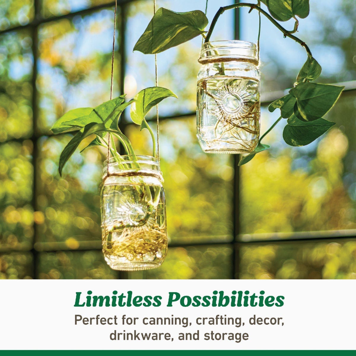Ball 16 Oz. Limited Edition Sunshine Pint Mason Jar (4-Pack) - photo 5