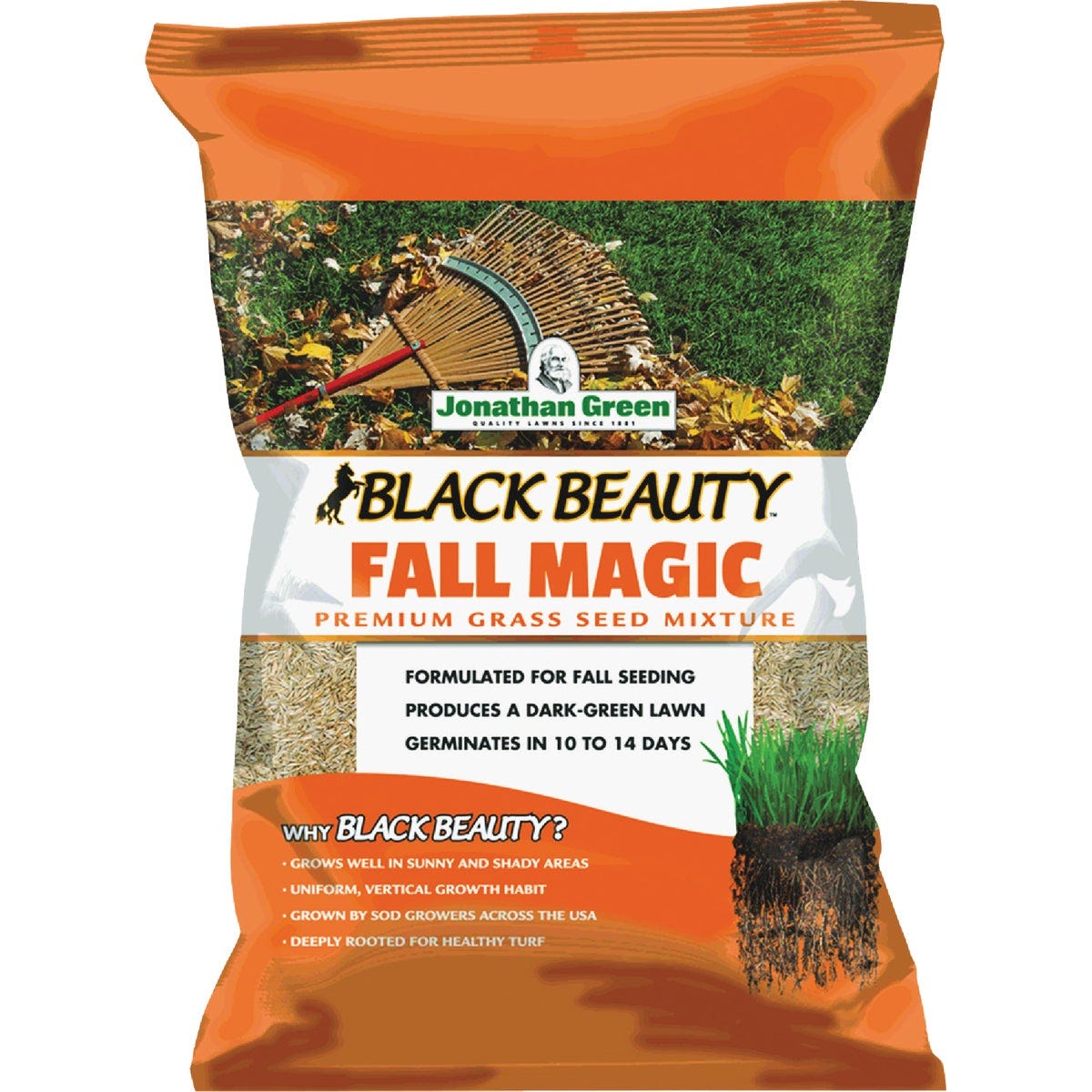Jonathan Green Black Beauty Fall Magic 25 Lb. 6250 Sq. Ft. Coverage Sun & Shade Grass Seed Jonathan Green Black Beauty Fall Magic 25 Lb. 6250 Sq. Ft. Coverage Sun & Shade Grass Seed