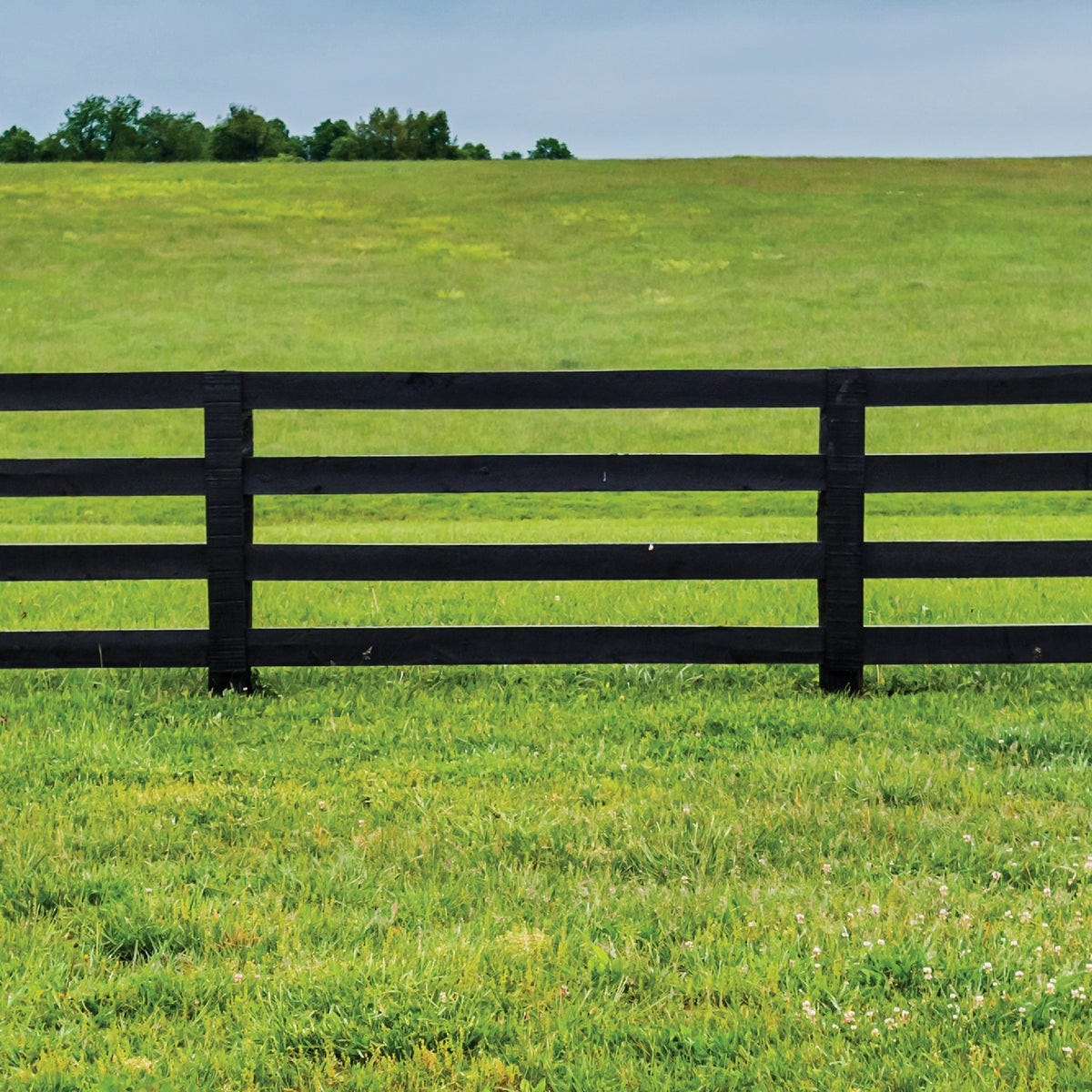 Valspar Alkyd Exterior Oil Paint & Primer In One Barn & Fence Paint, Black, 5 Gal. - photo 4 Valspar Alkyd Exterior Oil Paint & Primer In One Barn & Fence Paint, Black, 5 Gal. - photo 4