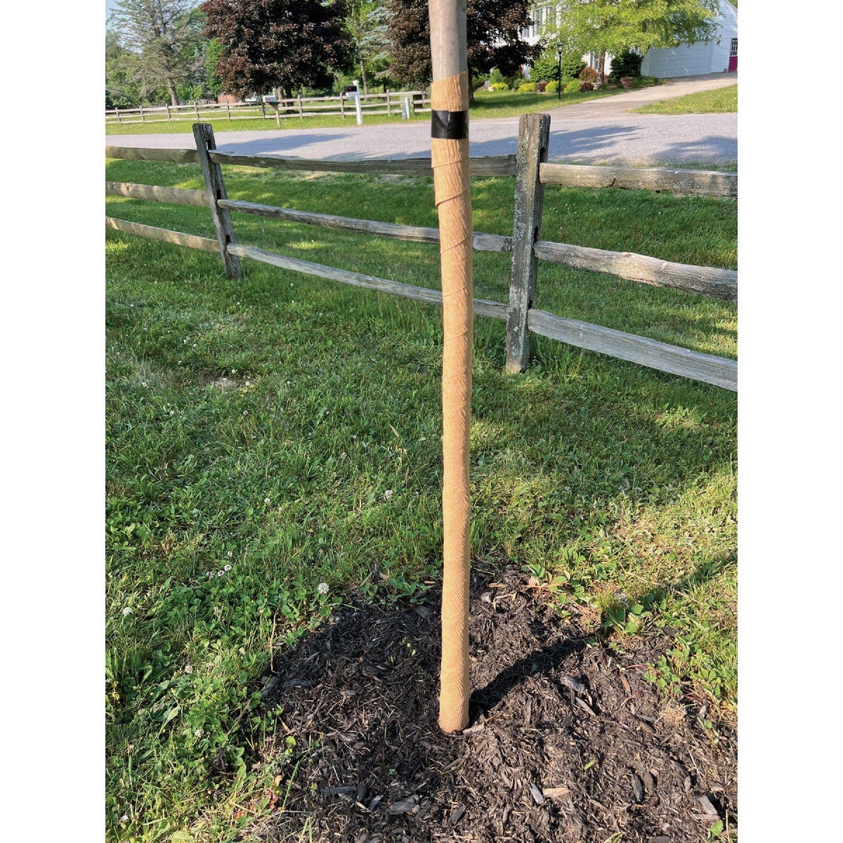 Tree Wrapper Treekote 3 In. x 50 Ft. Creped Paper Tree Wrap | True Value Hardware
