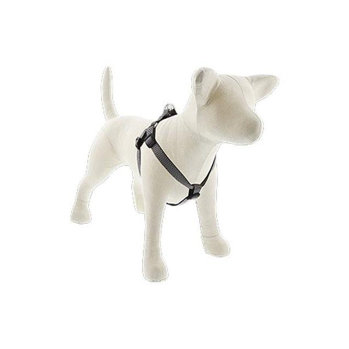 Lupine 3/4 In. x 15 In. to 21 In. Granite Eco Dog Harness with 6 Ft. Leash