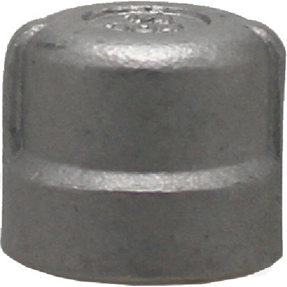 PLUMB-EEZE 1/4 In. FIP Stainless Steel Cap - photo 2