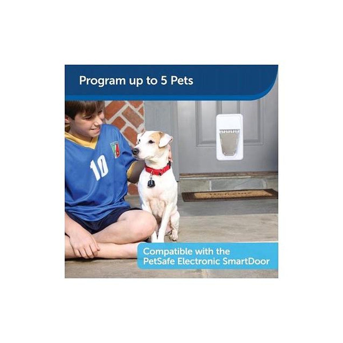 PetSafe SmartDoor Pet Door SmartKey - photo 3