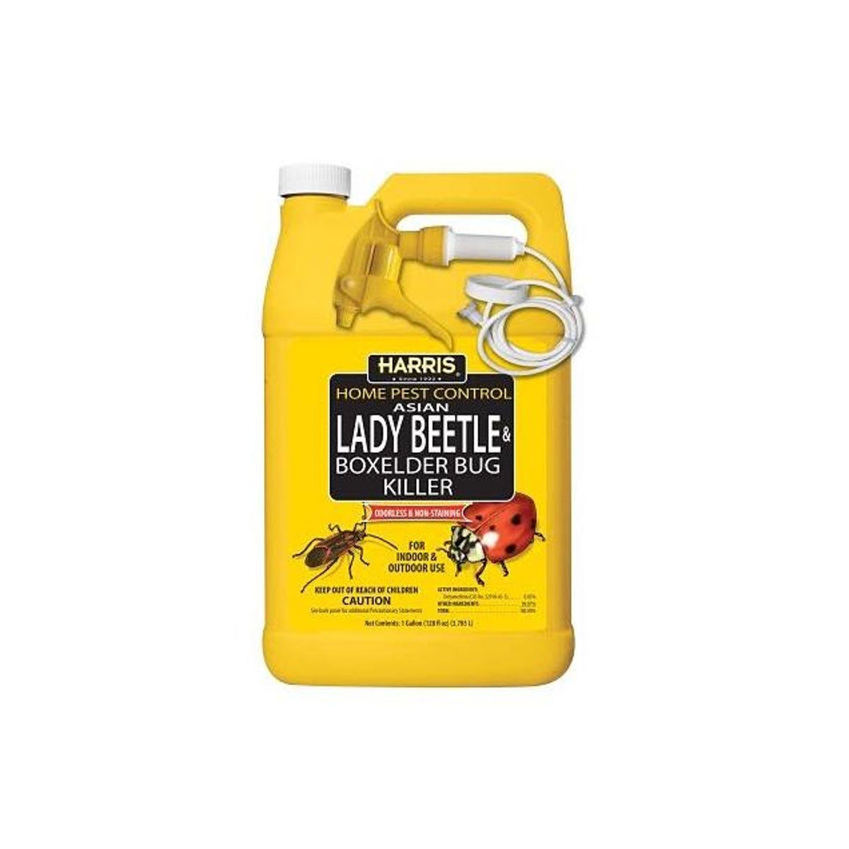 PF Harris 1 Gal. Asian Lady Beetle and Boxelder Bug Killer PF Harris 1 Gal. Asian Lady Beetle and Boxelder Bug Killer