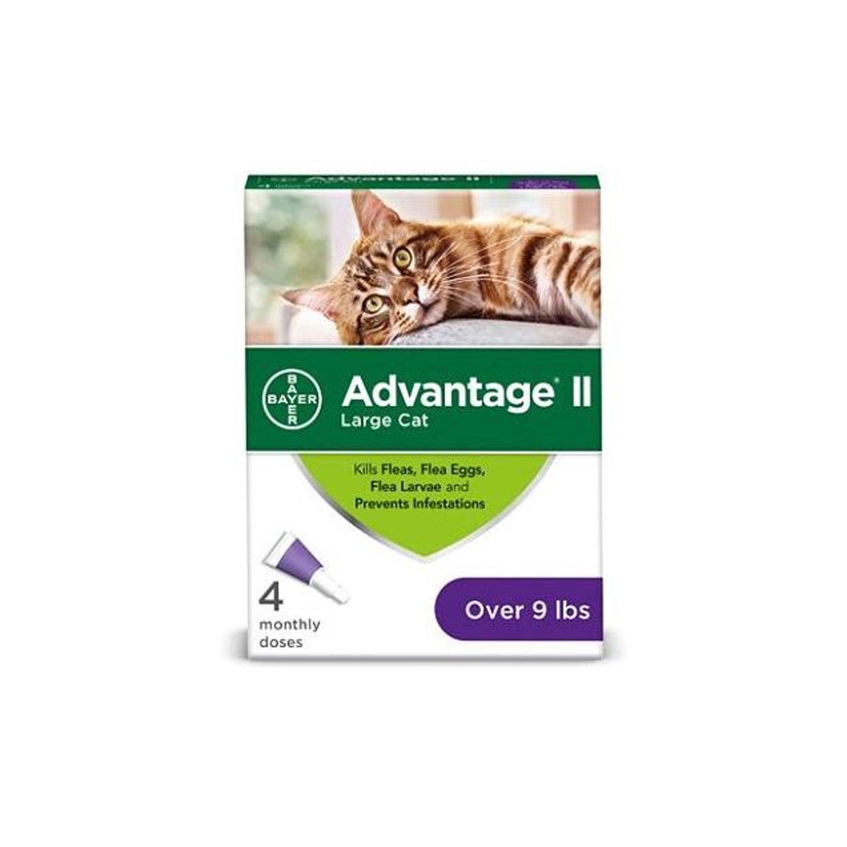 Advantage II Flea Prevention for Over 9 Lb. Large Cats (4-Pack) Advantage II Flea Prevention for Over 9 Lb. Large Cats (4-Pack)