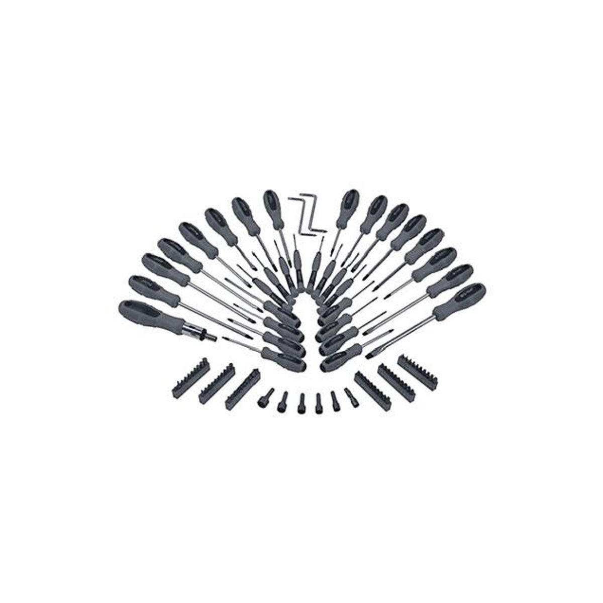 Master Mechanic Screwdriver & Bit Set (100-Piece) Master Mechanic Screwdriver & Bit Set (100-Piece)
