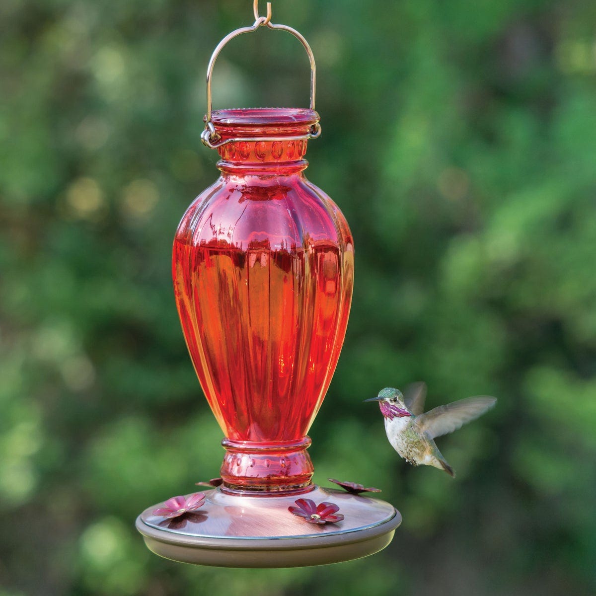 Perky-Pet 18 Oz. Daisy Vase Vintage Glass Hummingbird Feeder - photo 5 Perky-Pet 18 Oz. Daisy Vase Vintage Glass Hummingbird Feeder - photo 5