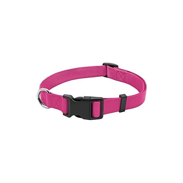 1 In. x 18 In. to 26 In. Adjustable Pink Nylon Dog Collar
