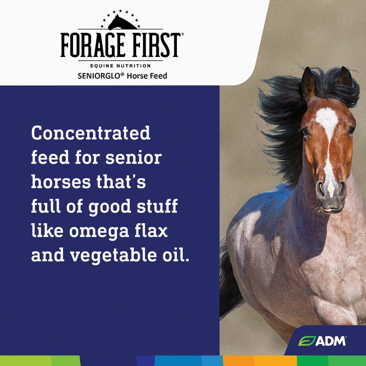 ADM SeniorGlo 50 Lb. Senior Horse Feed - photo 6