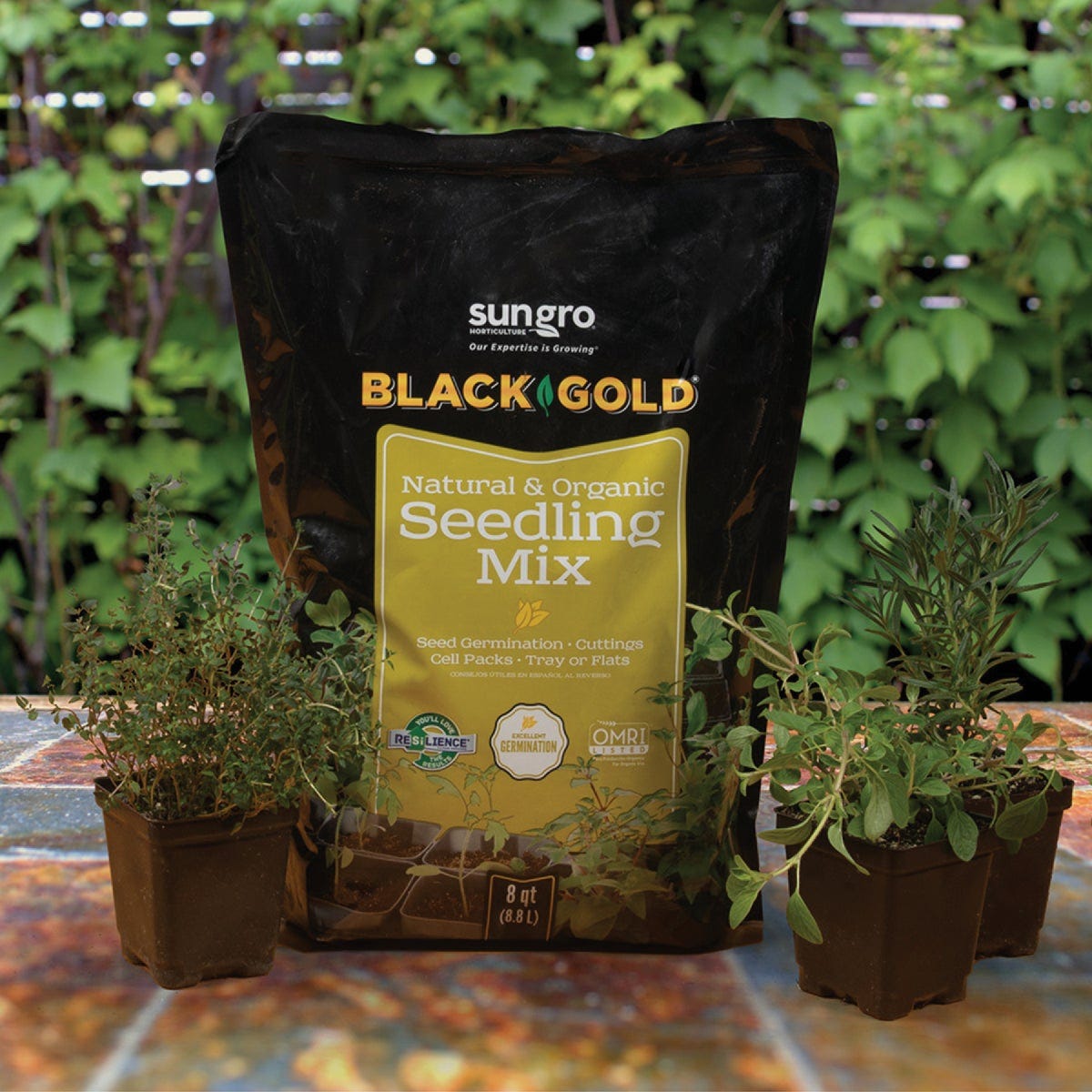 Black Gold 8 Qt. 6 Lb. All Purpose Container Potting Seed Starting Mix - photo 3