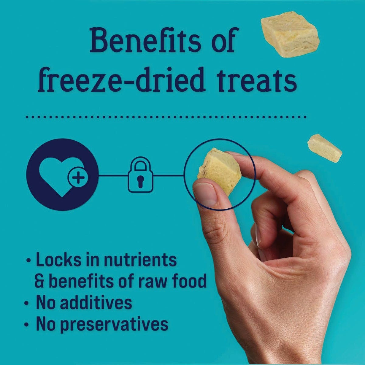 Stewart 11.5 Oz. Freeze-Dried Chicken Breast Dog Treats - photo 3