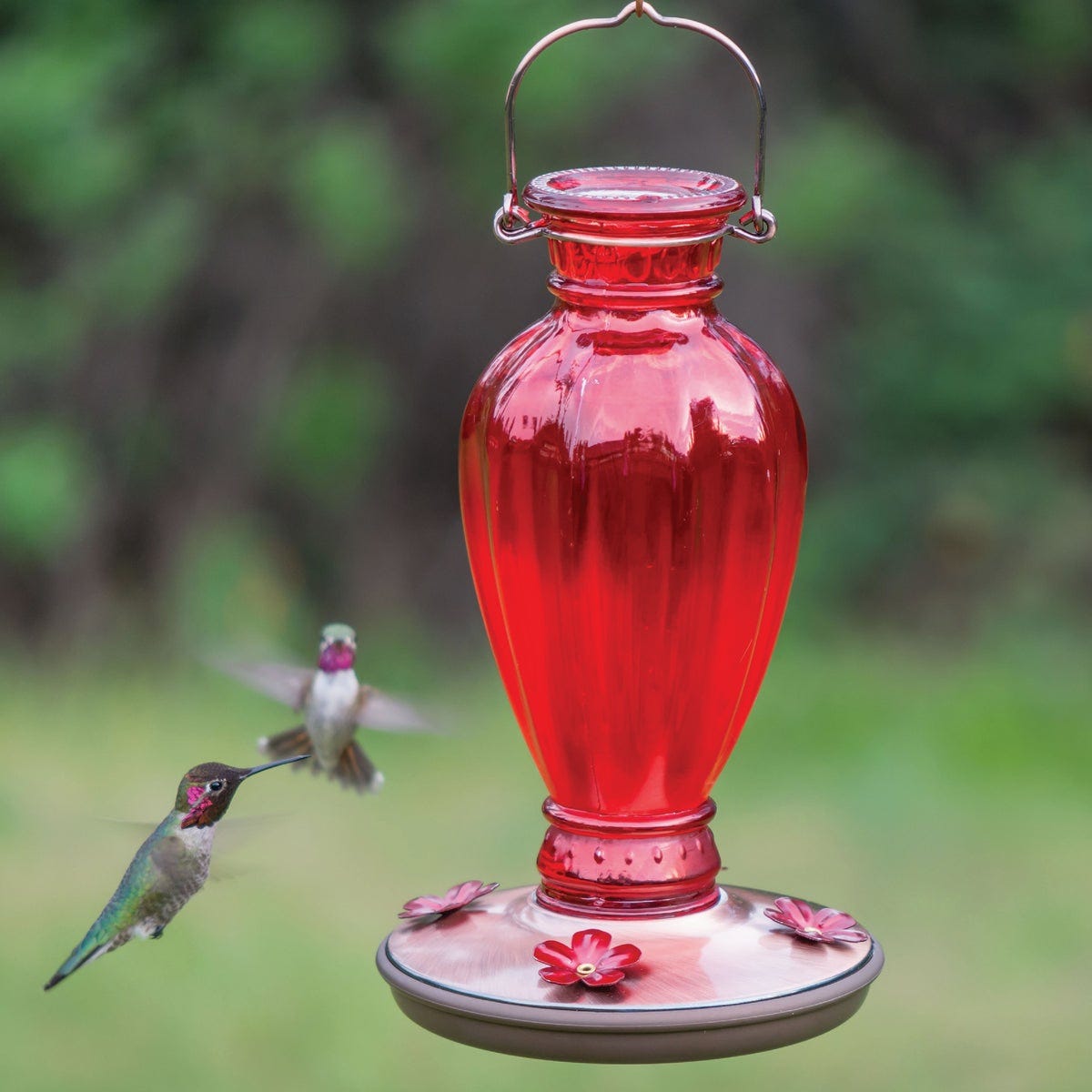 Perky-Pet 18 Oz. Daisy Vase Vintage Glass Hummingbird Feeder - photo 2 Perky-Pet 18 Oz. Daisy Vase Vintage Glass Hummingbird Feeder - photo 2