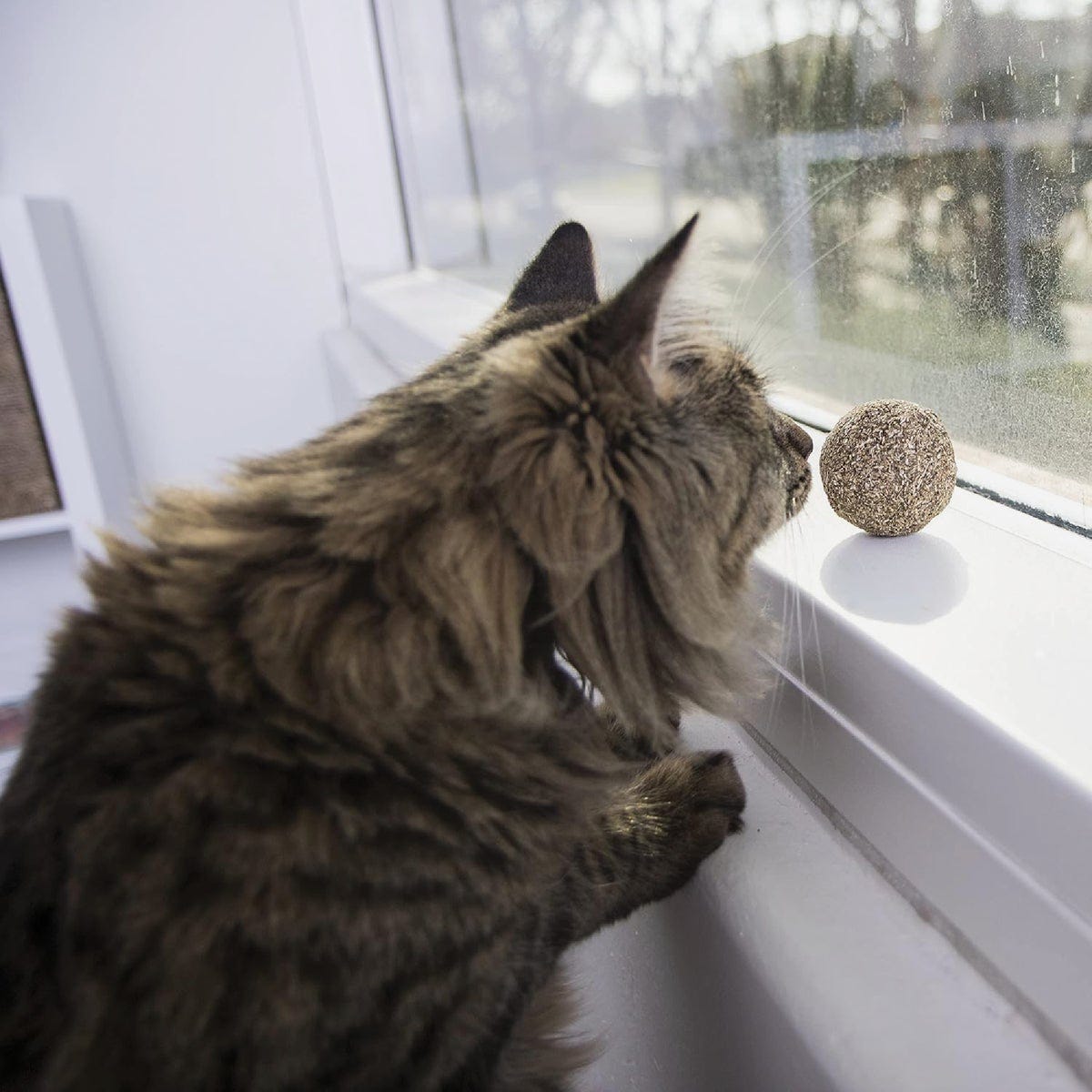 SmartyKat Catnip Kiss Compressed Catnip Ball Cat Toy - photo 3 SmartyKat Catnip Kiss Compressed Catnip Ball Cat Toy - photo 3