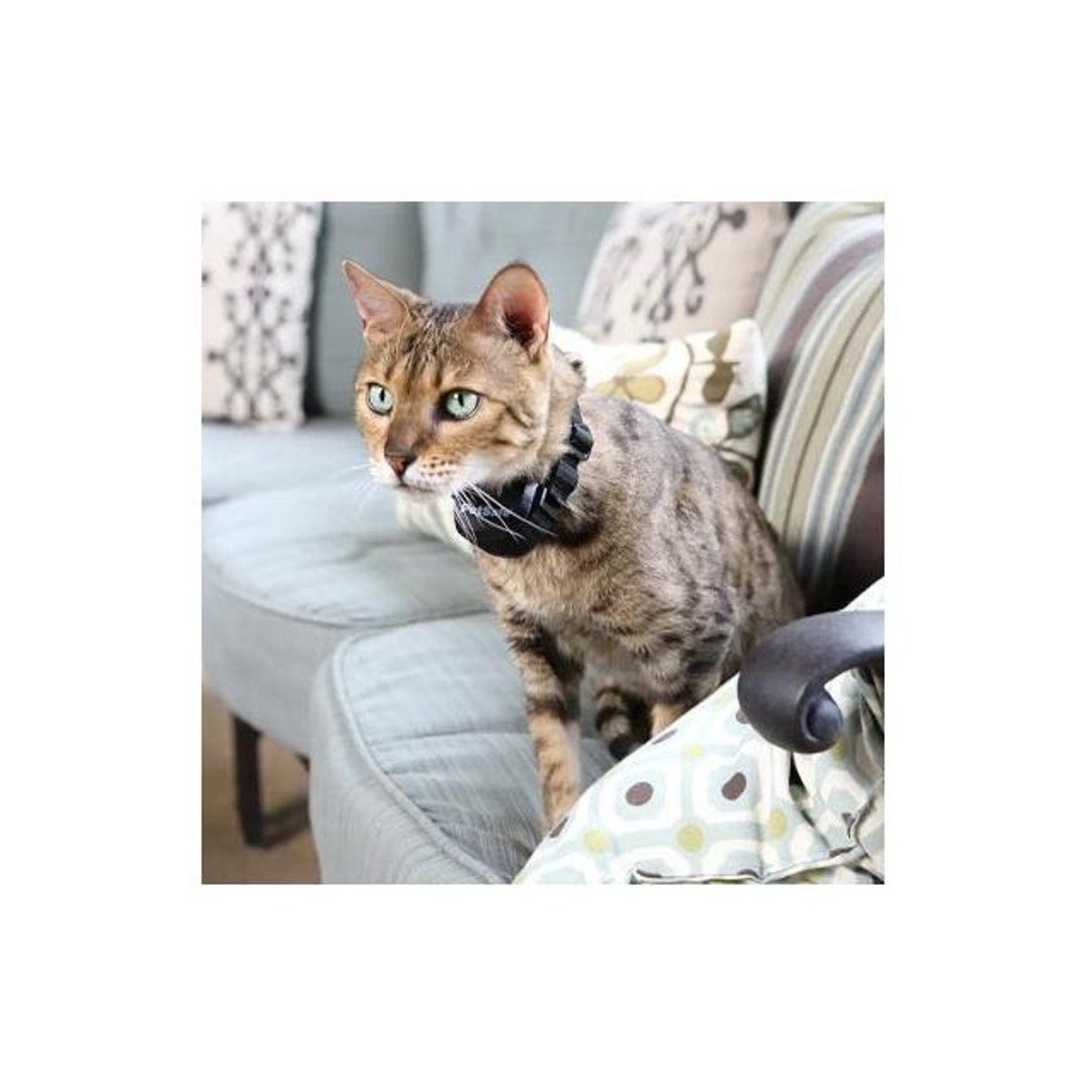 PetSafe Stay & Play Wireless Pet Fence Receiver Collar - photo 3